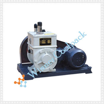 Belt Drive Rotary Vane High Vacuum Pump