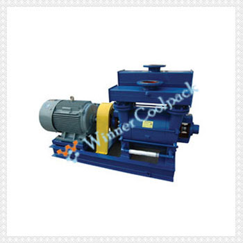 Liquid Ring Vacuum Pump