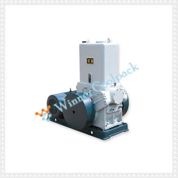 piston vaccum
