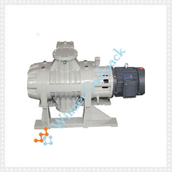 Roots Vacuum Pump